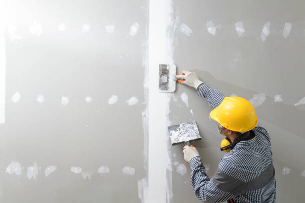 Professional Drywall & Painting Services in Manatee Road, FL